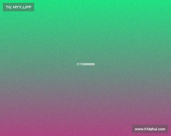 2018人脸识别竞赛冠军